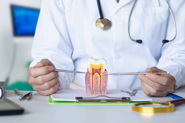 Best After-Hours Emergency Dentist in Bolinas, CA